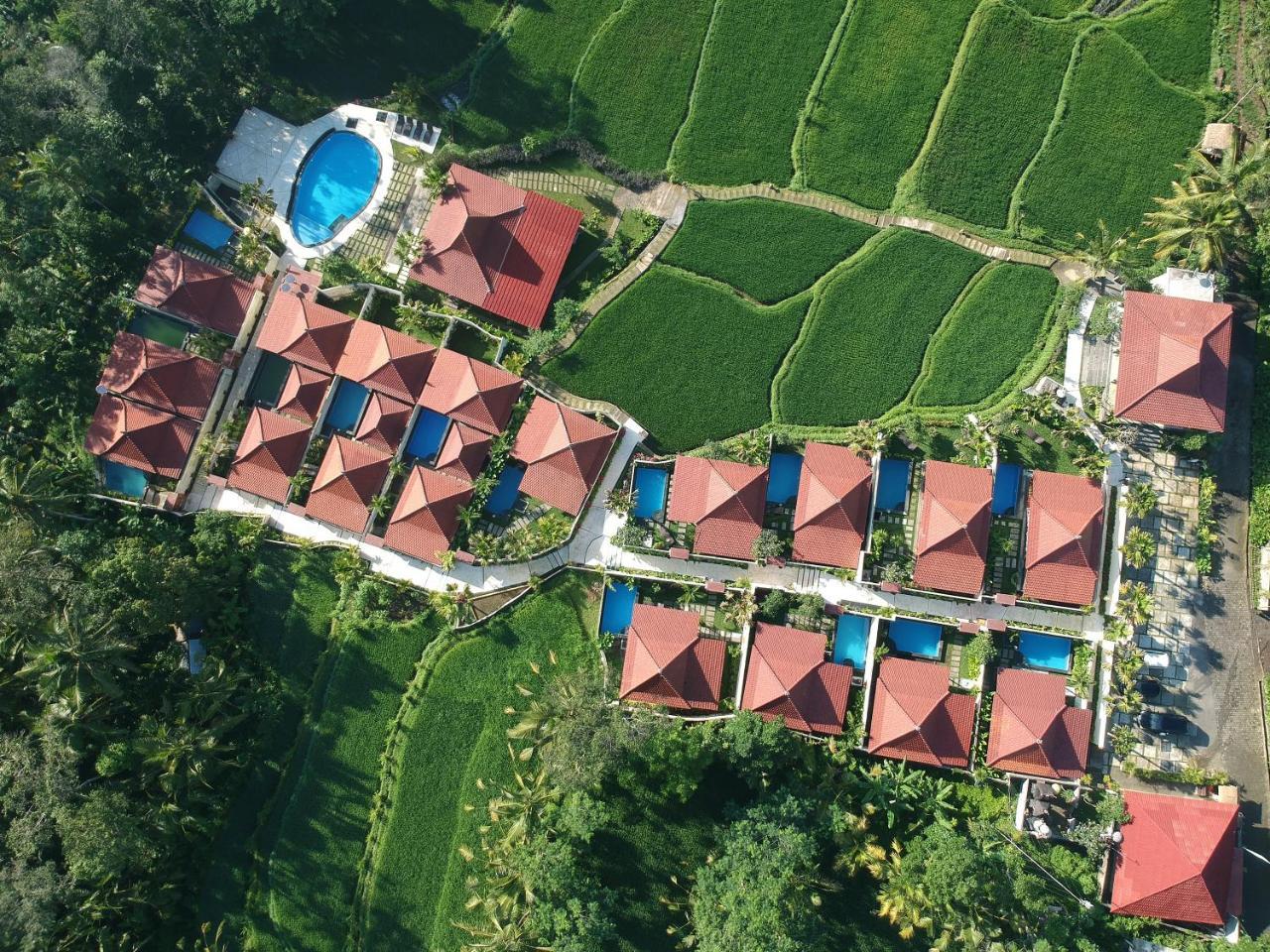 Vrindavan Ubud Villa Tegallalang  Exteriör bild