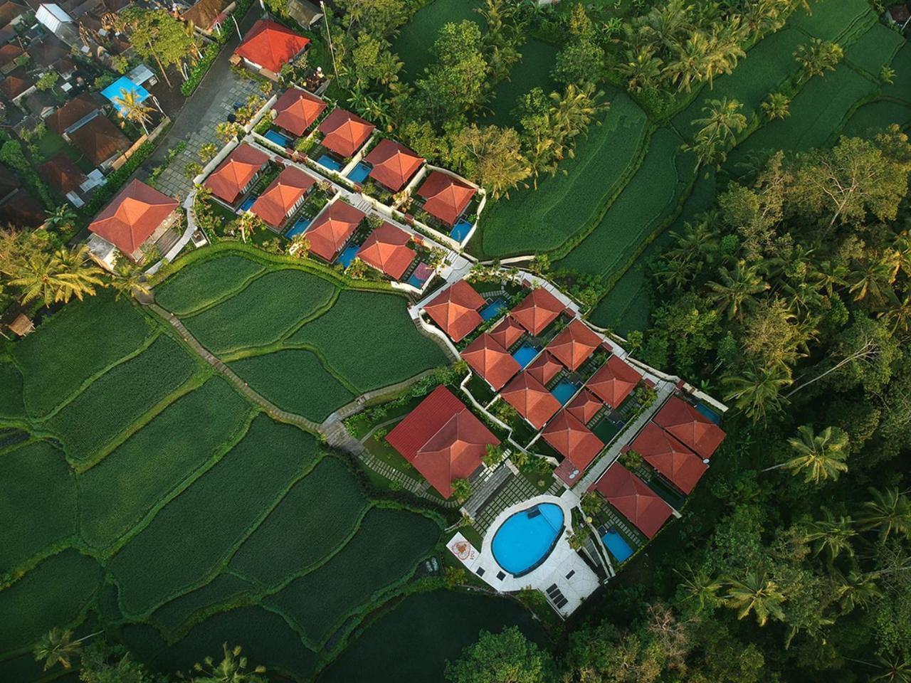 Vrindavan Ubud Villa Tegallalang  Exteriör bild