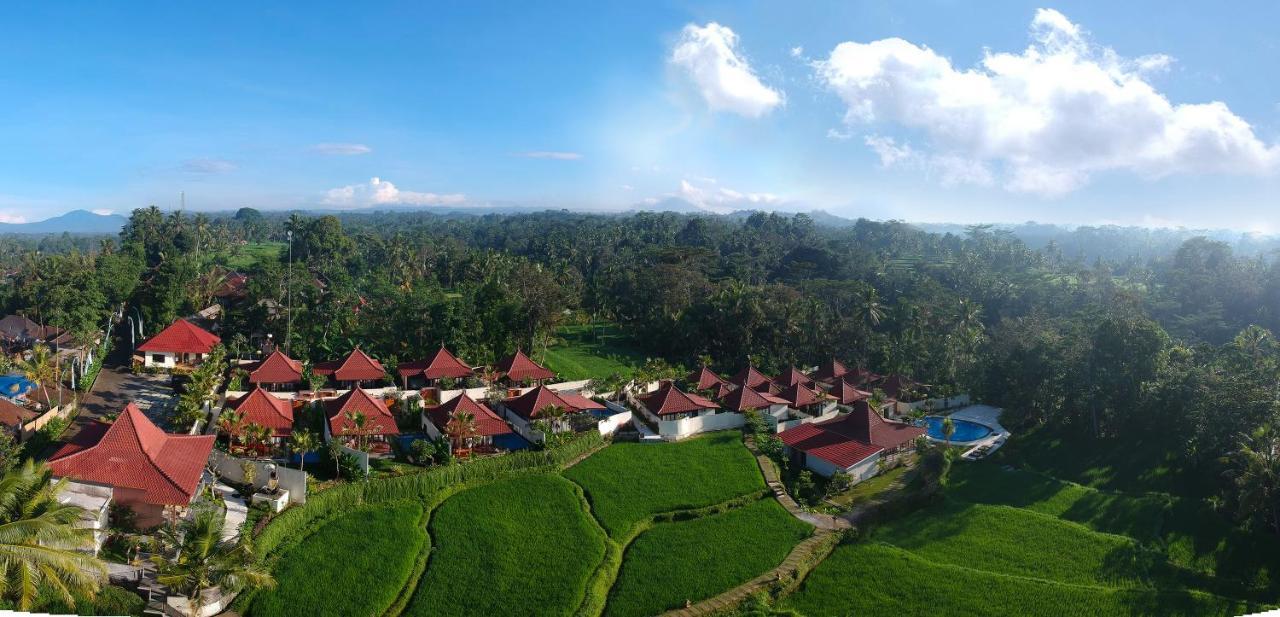 Vrindavan Ubud Villa Tegallalang  Exteriör bild